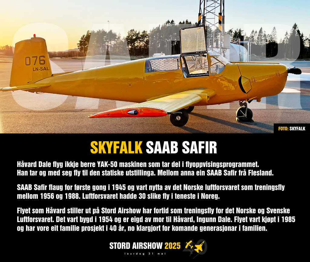 SA25deltagereSkyfalk-SAABsafir